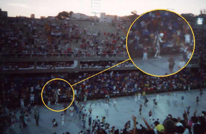 12e jour : Defile du Grupo Especial au sambodromo, photo 3