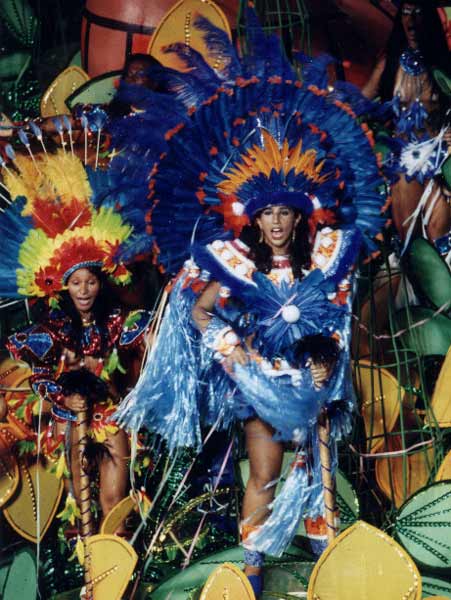 12e jour : Defile du Grupo Especial au sambodromo, photo 8