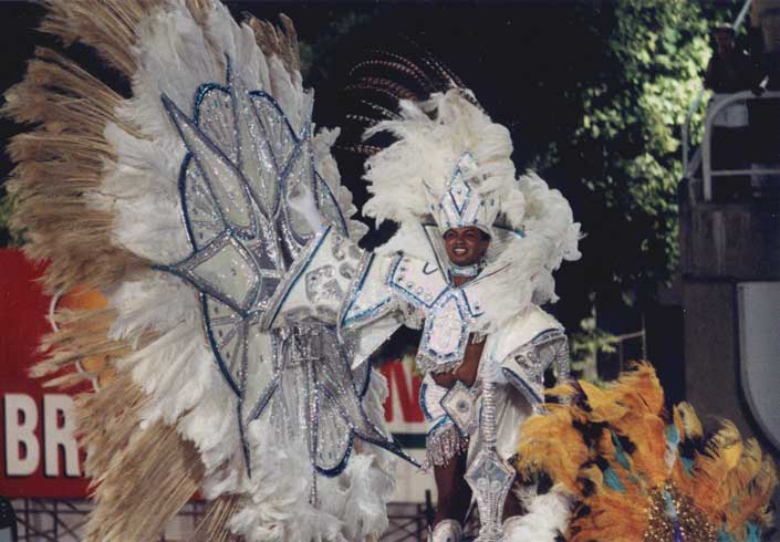 12e jour : Defile du Grupo Especial au sambodromo, photo 27