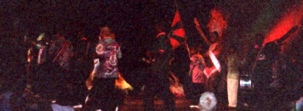 9e jour : show de mangueira et défilé des enfants, photo 2