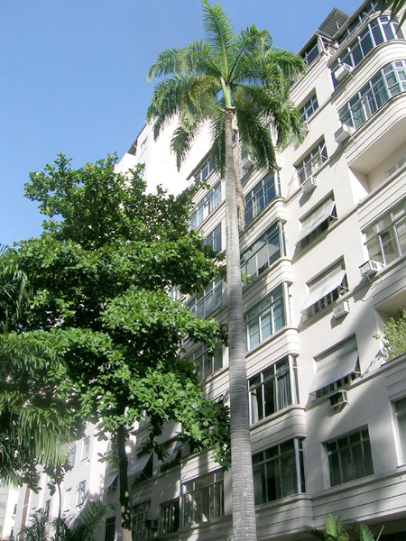 Le quartier est fier de ses palmiers centenaires
